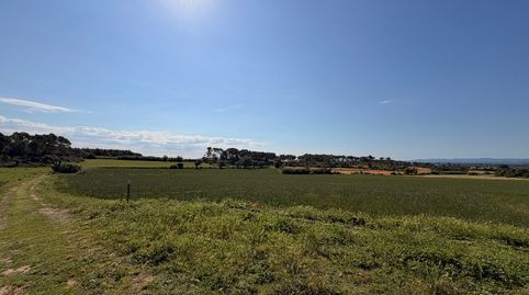 Foto 4 de Finca rústica en venda a Carrer President Macià, La Tallada d'Empordà, Girona