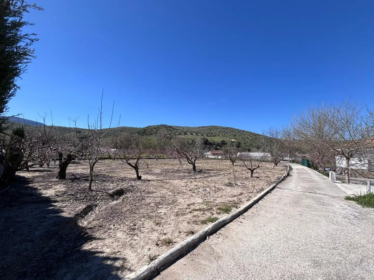 Country homes for sale in DISEMINADO, Castillo de Locubín