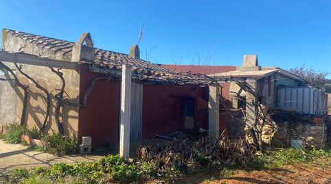 Preciosa viña y olivos en Les Useres (Castellón), immagine 2