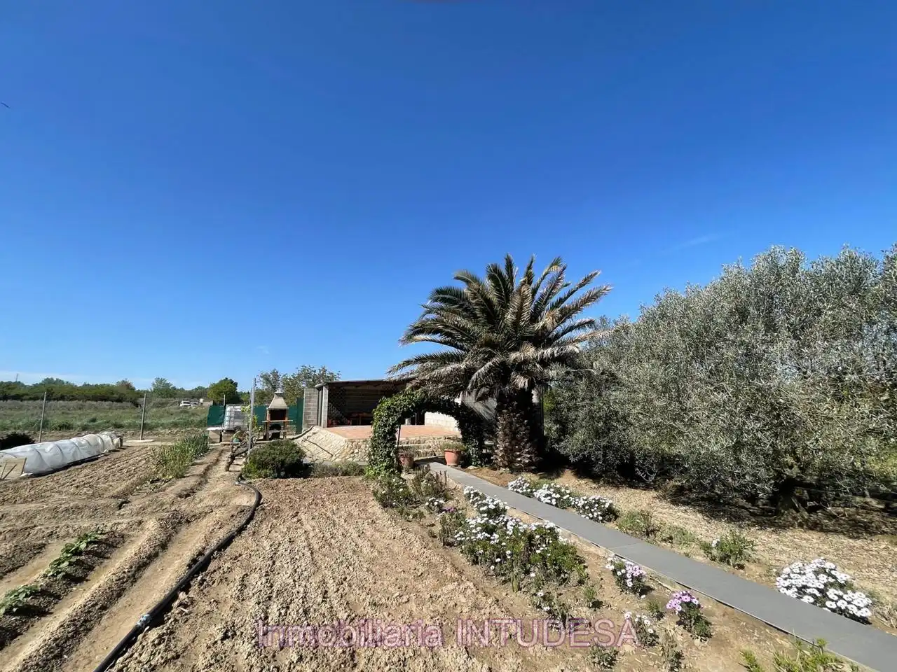 Terreni e lotti in vendita a Paraje La Recueja, imagen 21