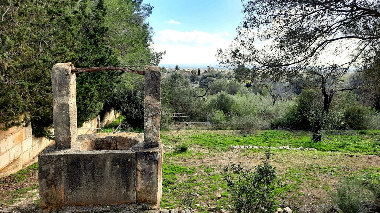 House or chalet for sale in Binissalem