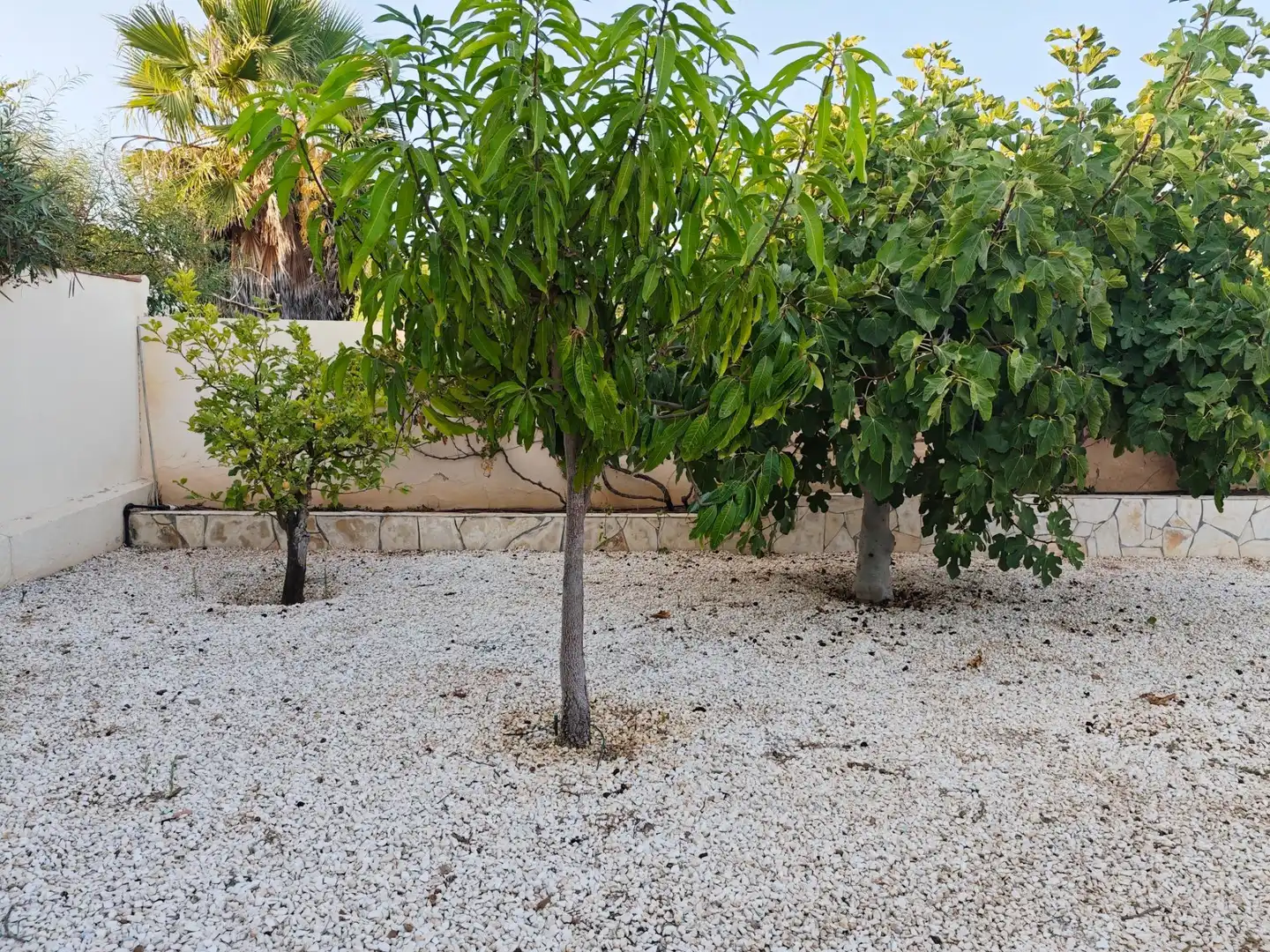 Jardí de Casa o xalet de lloguer en Mijas amb Aire condicionat, Calefacció i Jardí privat