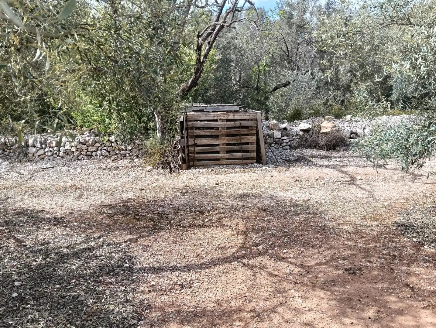 Rustikales Grundstück zum Verkauf in Ulldecona, imagen 4