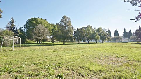 Foto 5 de Finca rústica en venda a Parque Atlántico - Ronda este, Cádiz