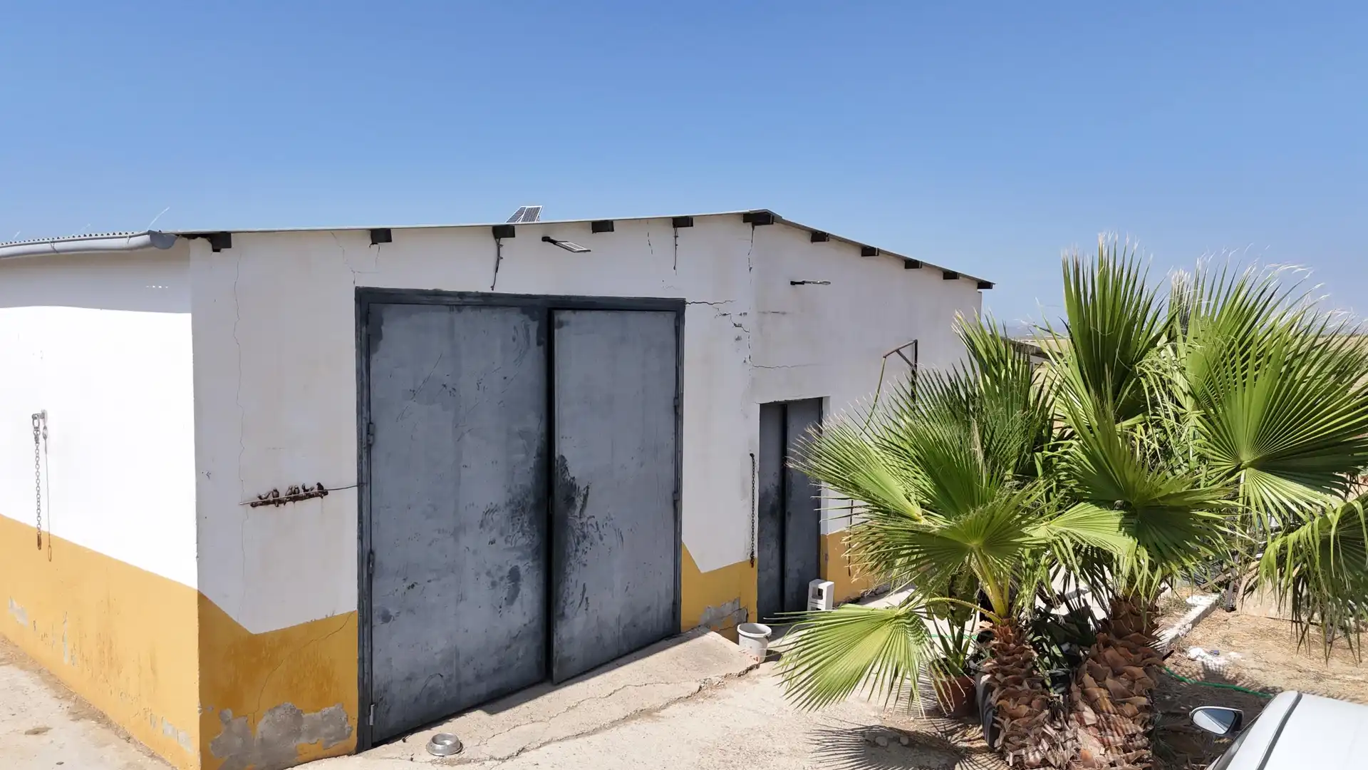 Rural land for sale in Polígono 12 Parcela 177 LA CORIANA. OLIVARES (SEV, imagen 28