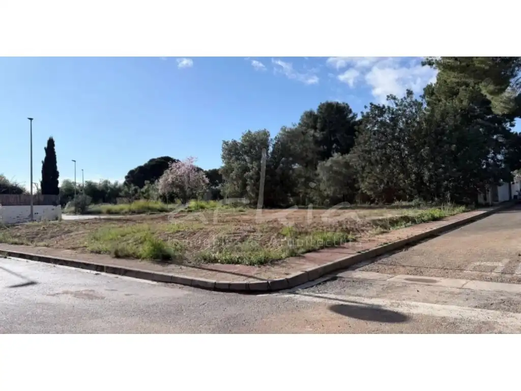 Terreno residenziale in vendita a La Conarda - Montesano, imagen 6