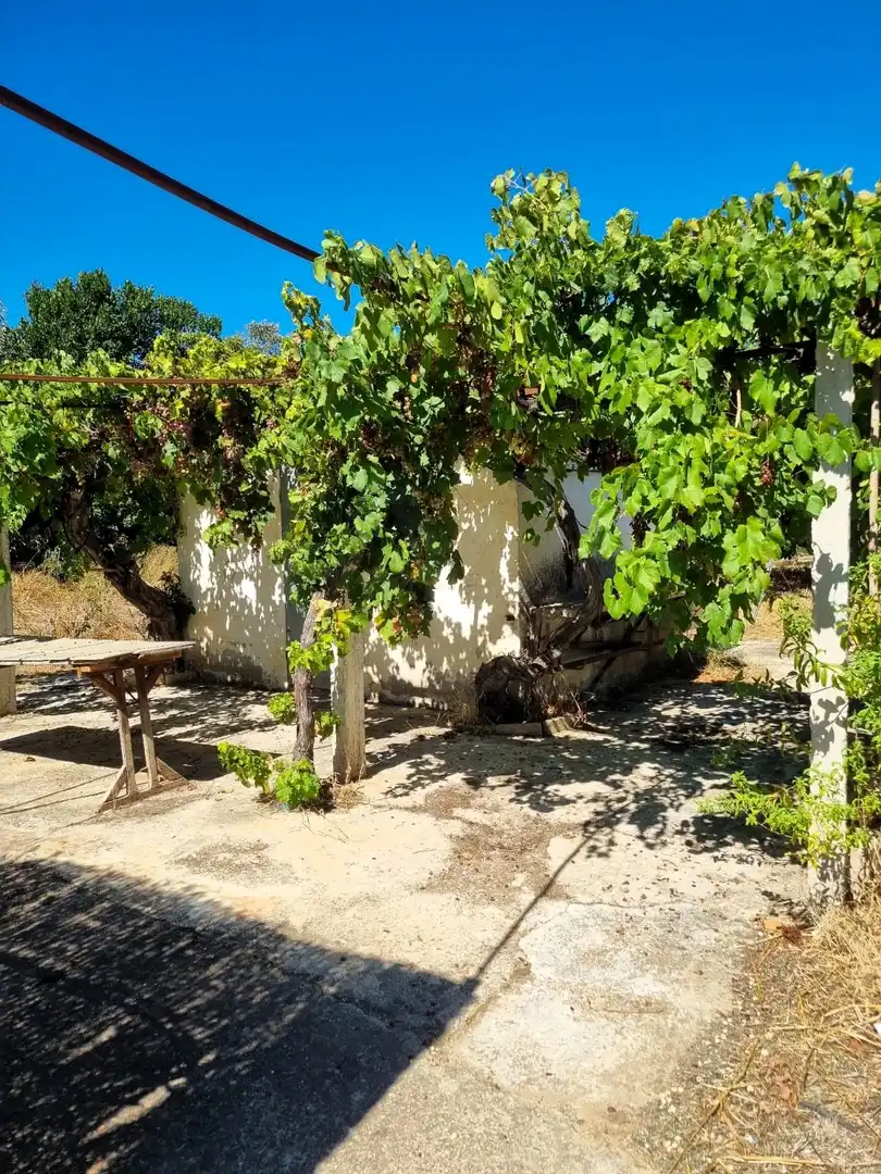 Lands and plots for sale in poligono 17 parcela 32, imagen 15