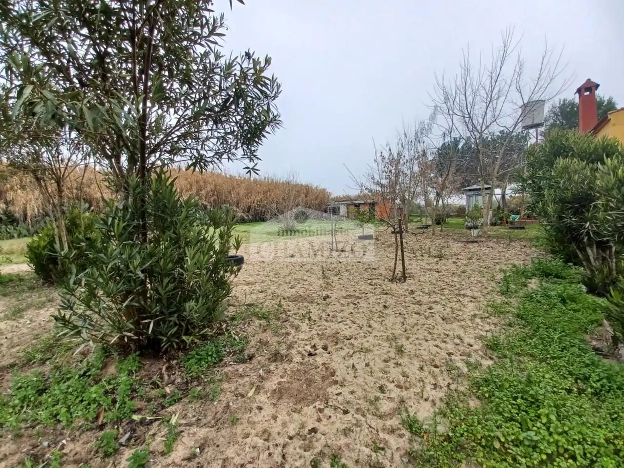 Xalet amb jardí en venda a Calle San Francisco 43, imagen 23