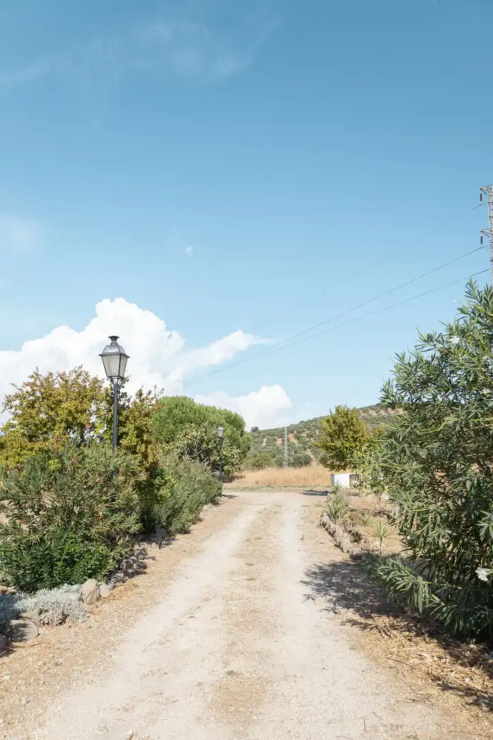 Lands and plots for sale in Bobadilla - Bobadilla Estación - La Joya, imagen 26