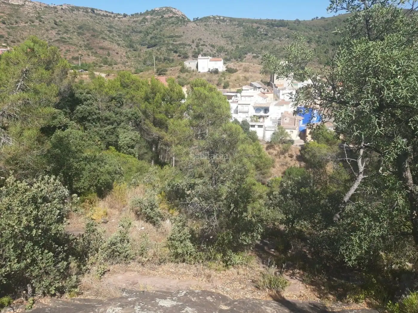 Rural land for sale in Calle Vista Alegre 14