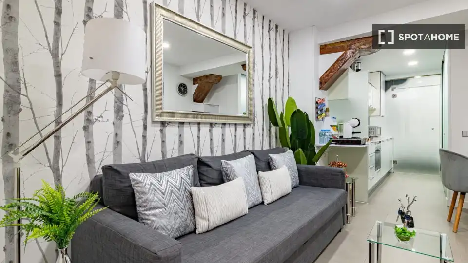 Wohnung zur Miete in Madrid, Madrid