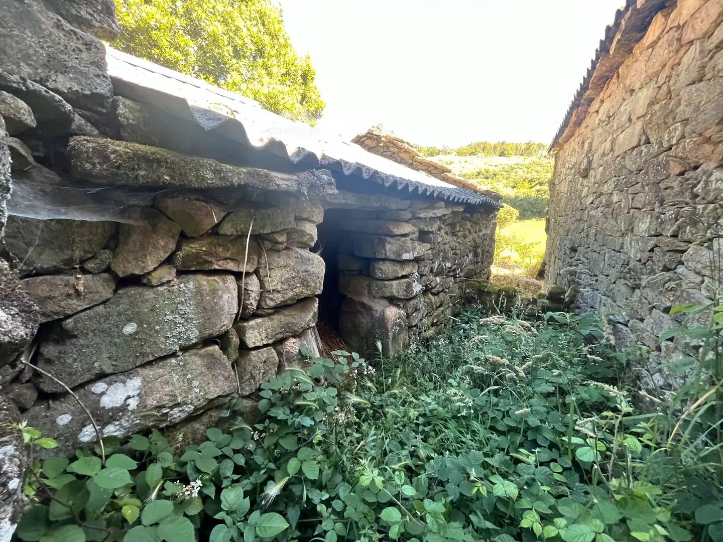 Vista exterior de Casa o chalet en venta en Piñor con Trastero y Amueblado