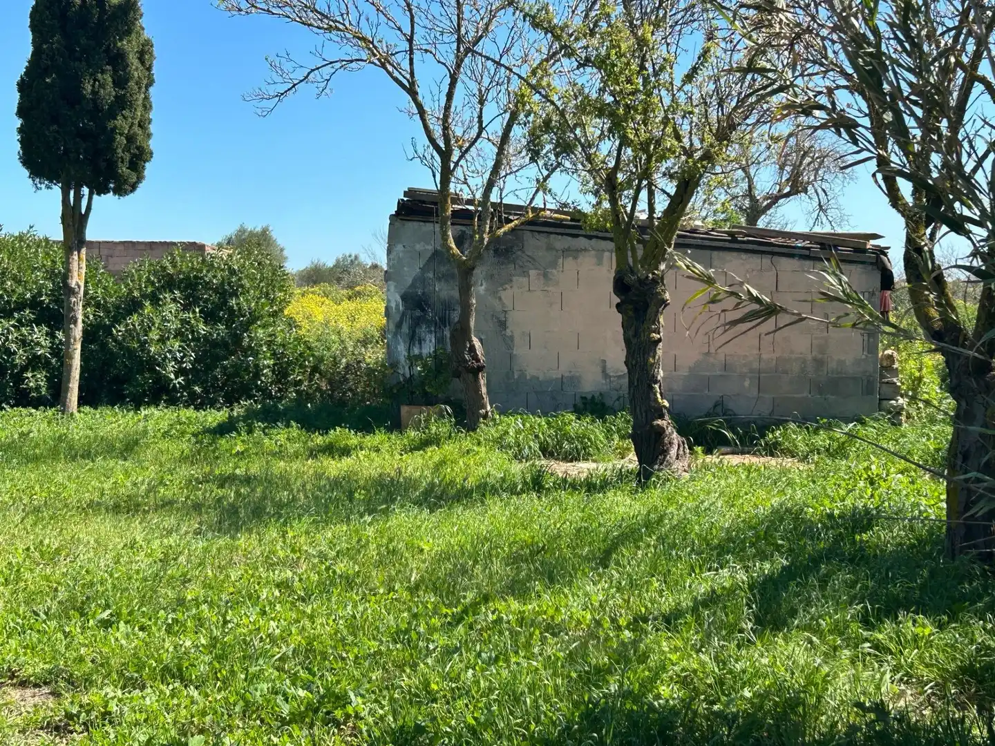 Terreno rústico en venta en Porreres, imagen 7