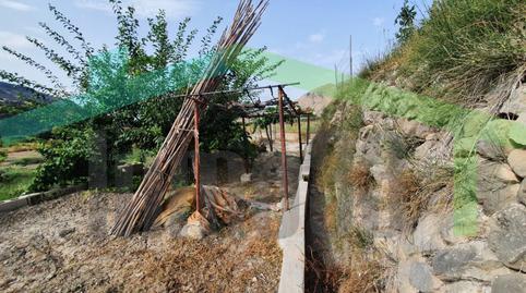 Foto 2 de Finca rústica en venta en Partida Font de Mira, Orxeta, Alicante