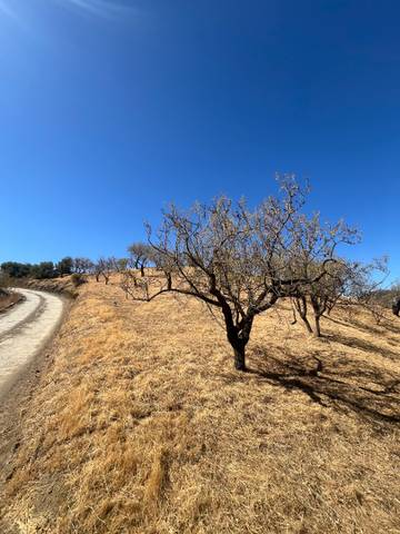 Terreno en Venta en Monda