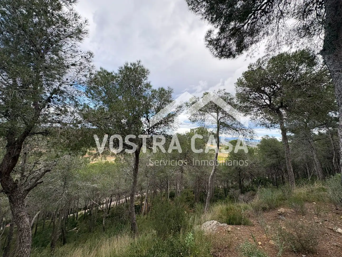 Terreno en venta en Chiva