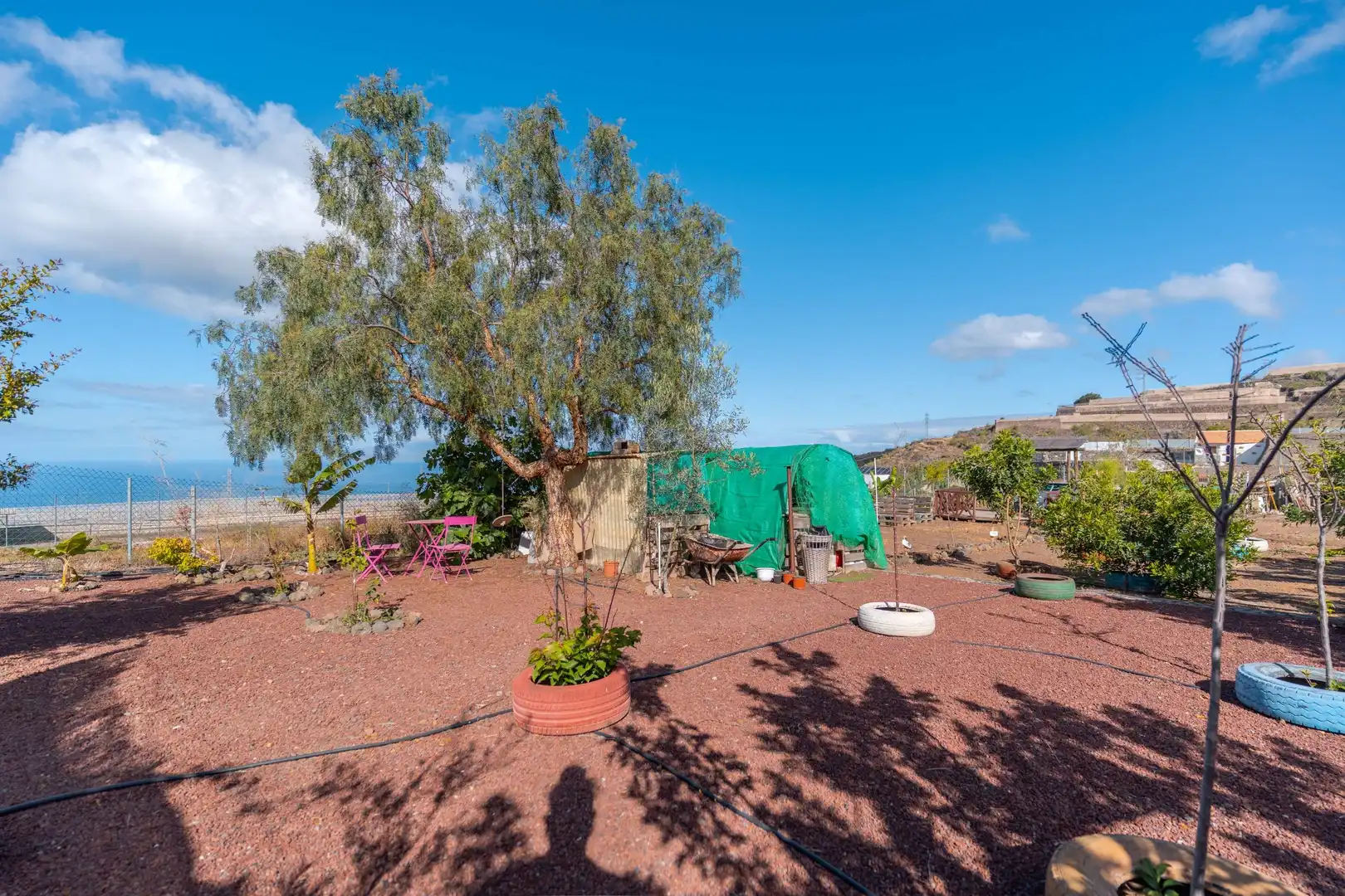 Garden of Country homes for sale in Guía de Isora  with Swimming Pool