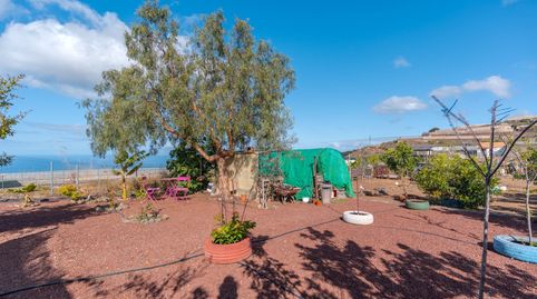 Foto 4 de Finca rústica en venta en Guía de Isora interior, Guía de Isora