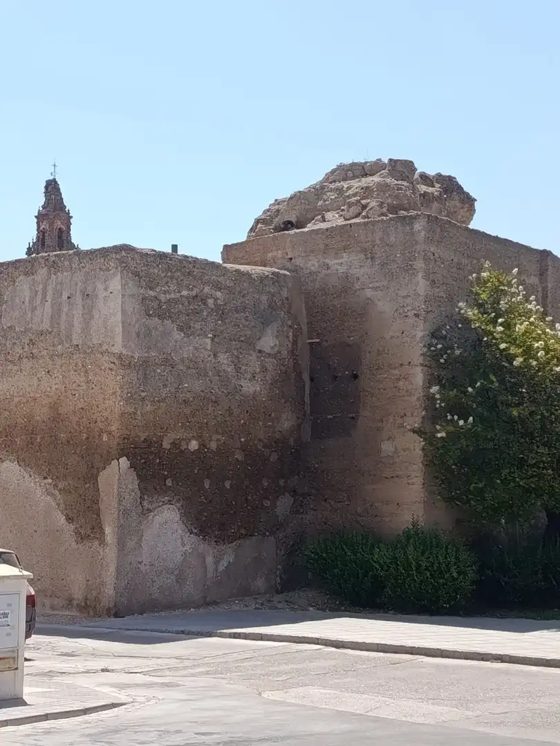 Wohnbaugrundstück zum Verkauf in Calle 7 REVUELTAS, imagen 2