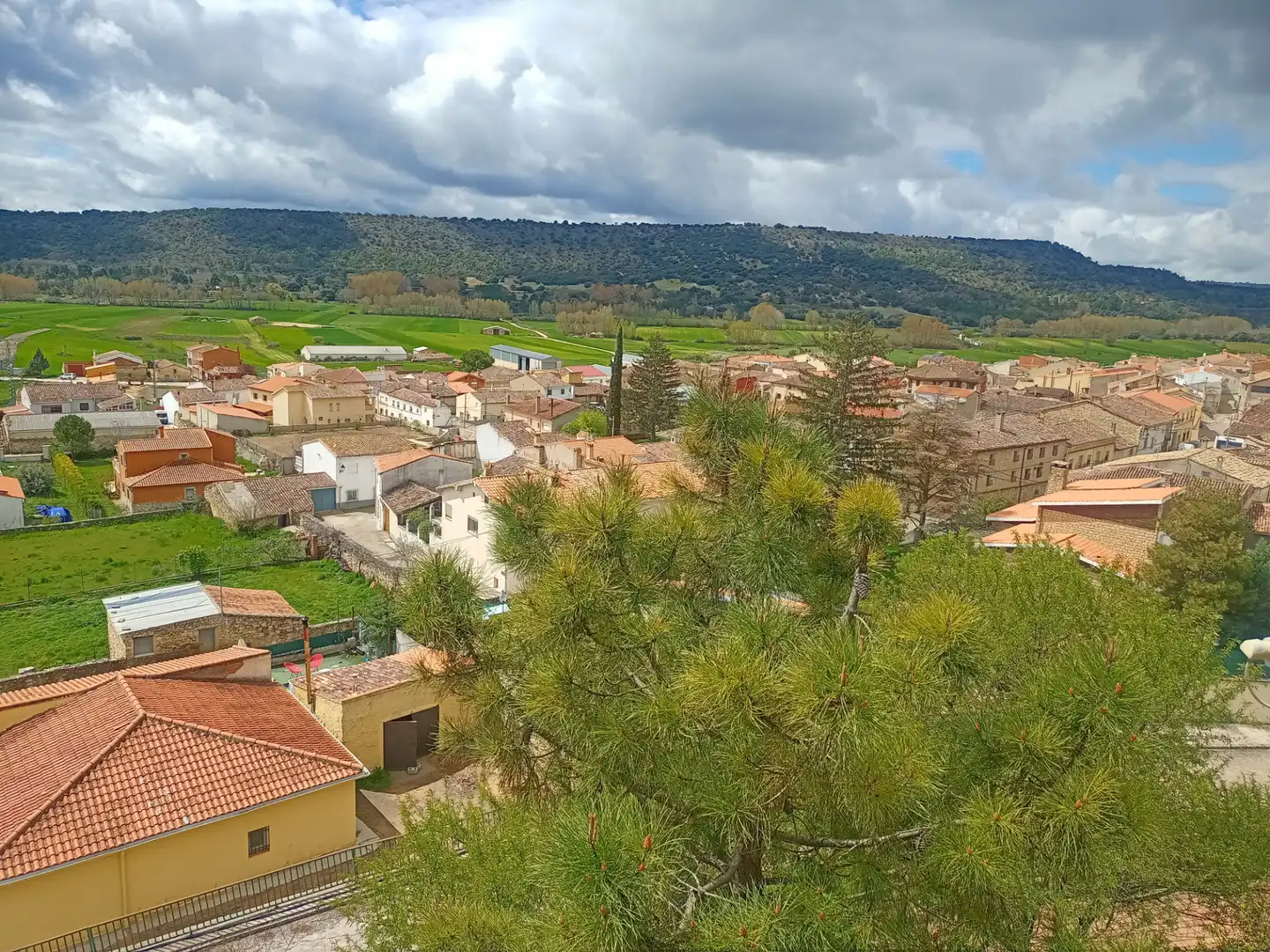 Vista exterior de Casa o chalet en venta en Cañada del Hoyo con Terraza