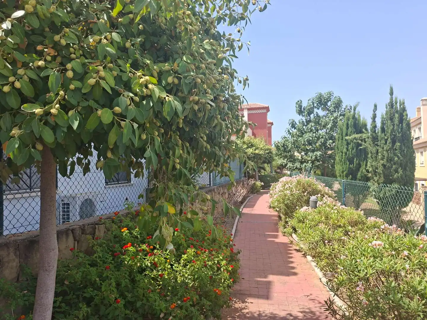 Flat with pool for sale in Caleta de Vélez, imagen 4