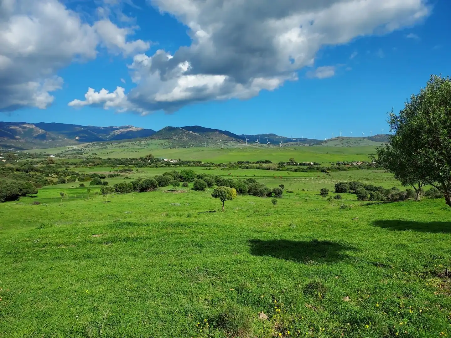Terreni e lotti in vendita a Tarifa ciudad