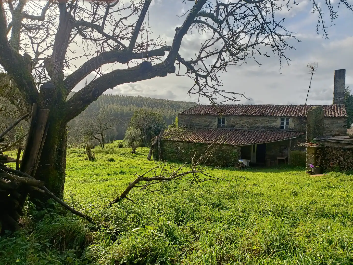 Vista exterior de Casa o xalet en venda en Cesuras amb Jardí privat