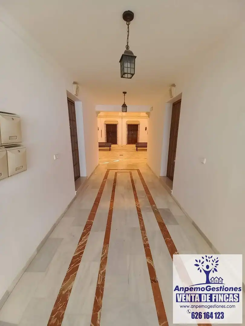 Casa o xalet en venda a Palma del Río