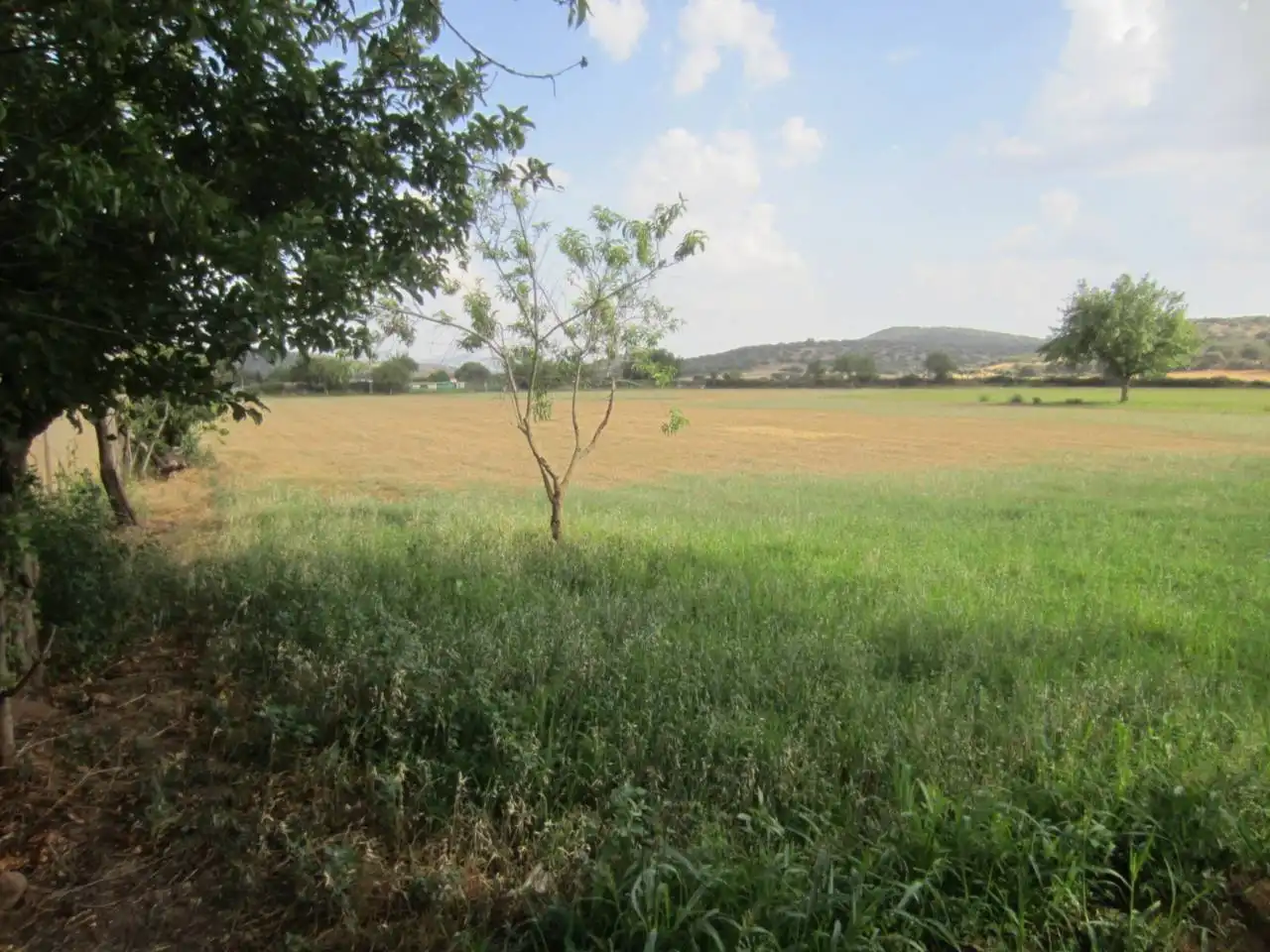 Terreno rustico in vendita a Calle RONDA DEL MEDIODIA, imagen 14
