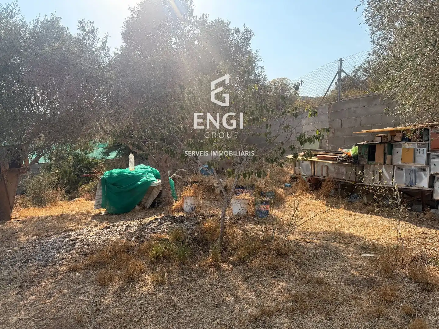 Terreno rustico in vendita a Nou Vendrell, imagen 5