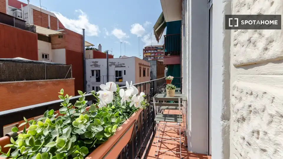 Terrassa de Pis per a compartir en Santa Eulàlia