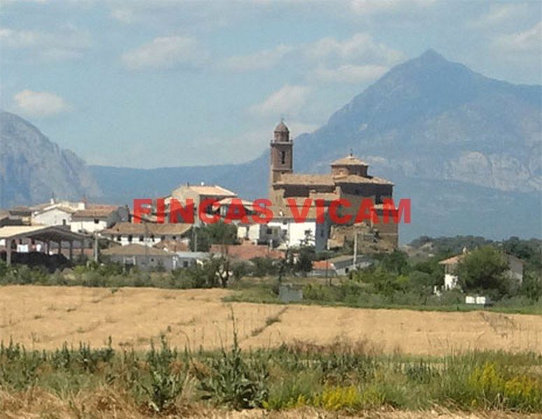 Land for sale in Alcalá del Obispo
