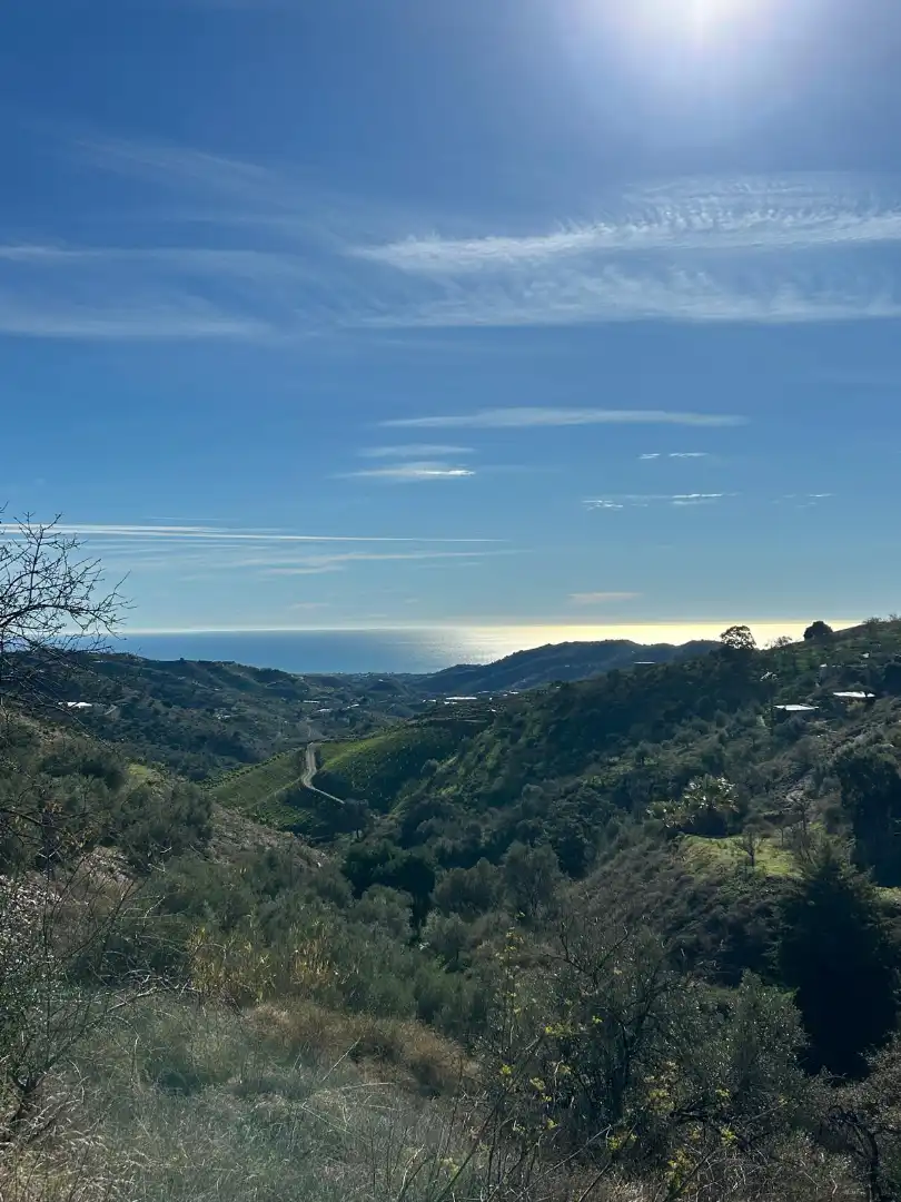 Vista exterior de Finca rústica en venda en Macharaviaya amb Terrassa, Traster i Piscina