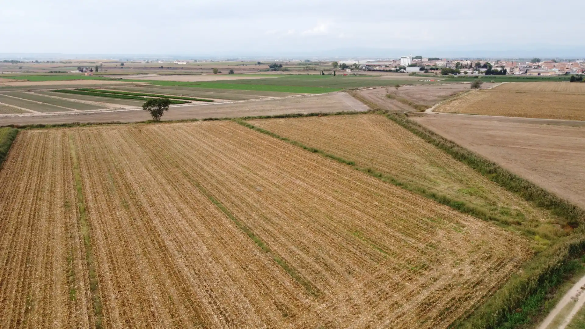 Terreny rústic en venda a Bell-lloc d'Urgell, imagen 4