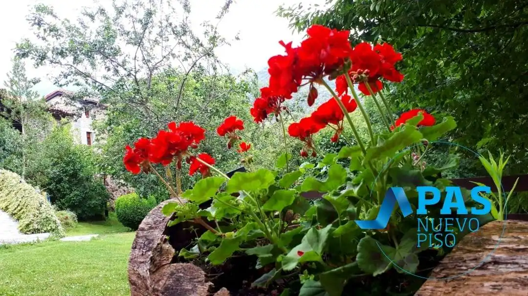 Garden of Houses for sale in Camaleño  with Heating, Private garden and Terrace