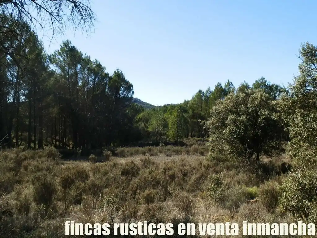Land for sale in Valdeolivas