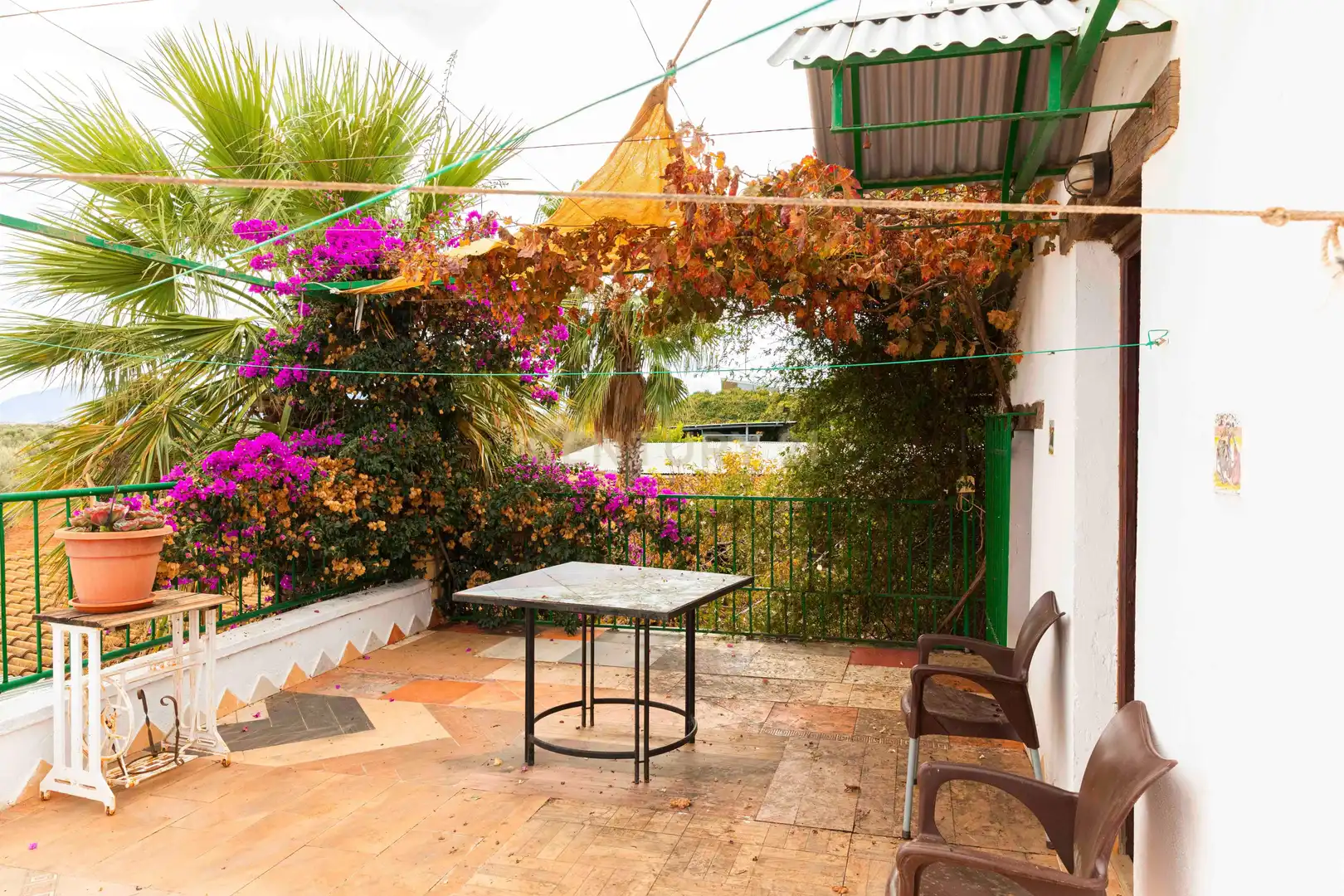 Casa o chalet en venta en Polígono 15 Parcela 60 EL VINCULO. CAMPILLOS (MÁLA, -1, Campillos