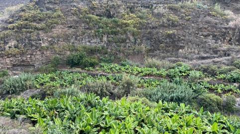 Foto 4 de Terreno en venta en Camino Hoya Olivares, El Palmar, Teror