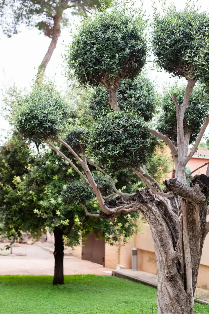 Garden of Houses for sale in L'Eliana  with Air Conditioner, Private garden and Terrace