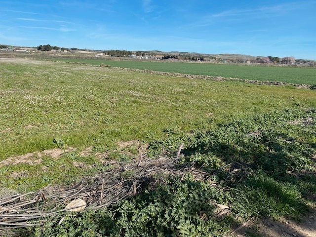 Land for sale in Titulcia