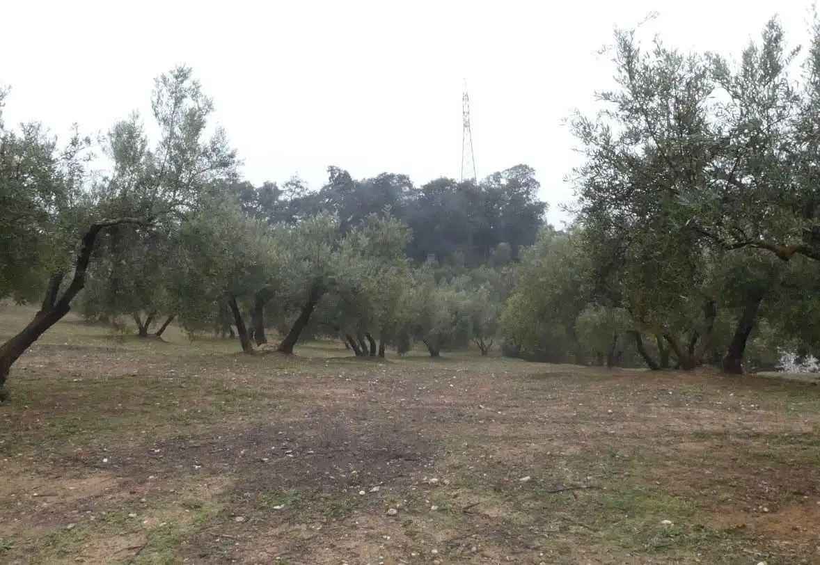 Terreni e lotti in vendita a Peligros, imagen 23