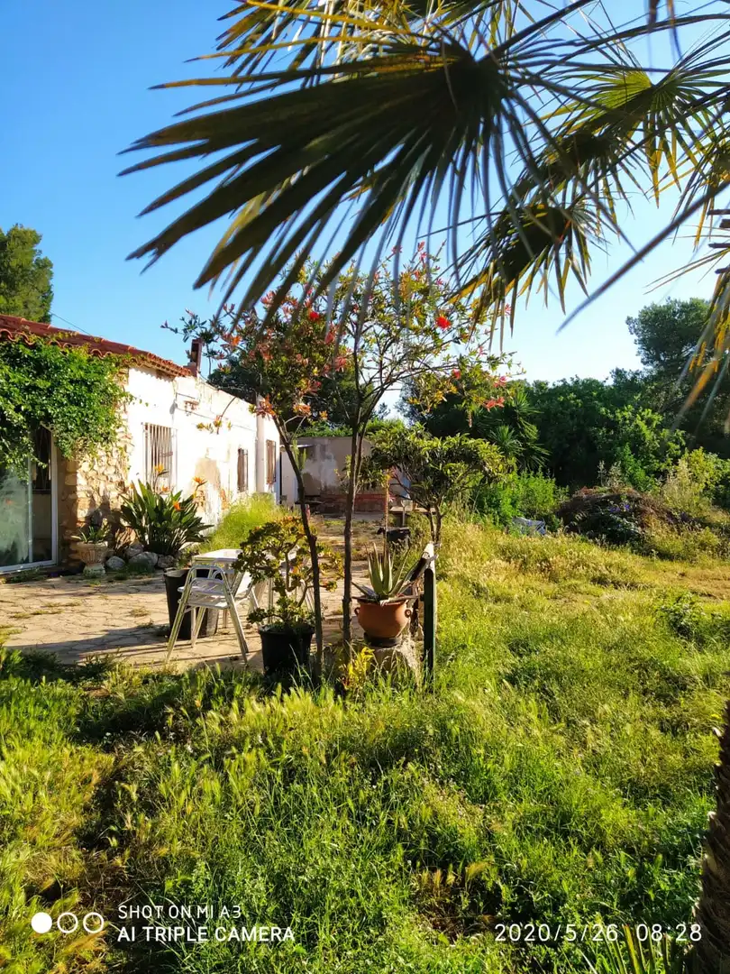 Jardí de Casa o xalet en venda en Mont-roig del Camp amb Jardí privat i Moblat
