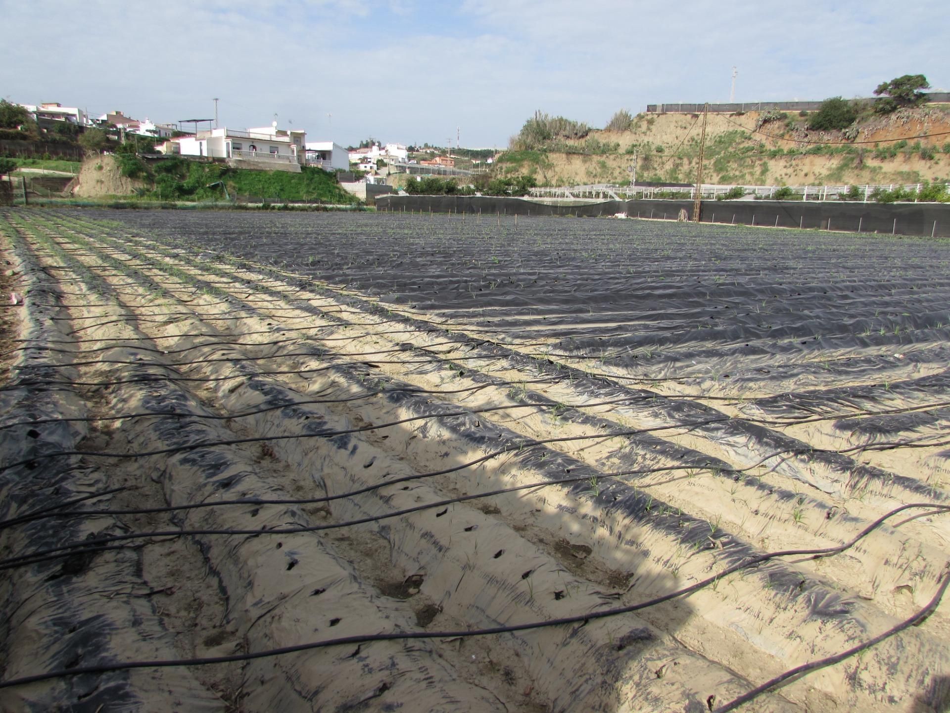Exterior view of Land for sale in Algarrobo