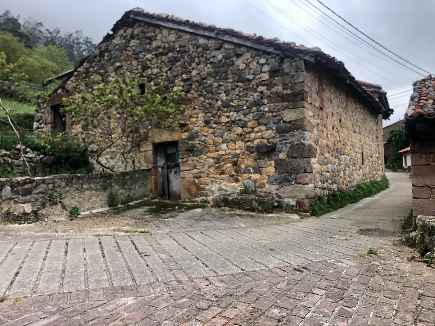 Exterior view of Buildings for sale in Lamasón