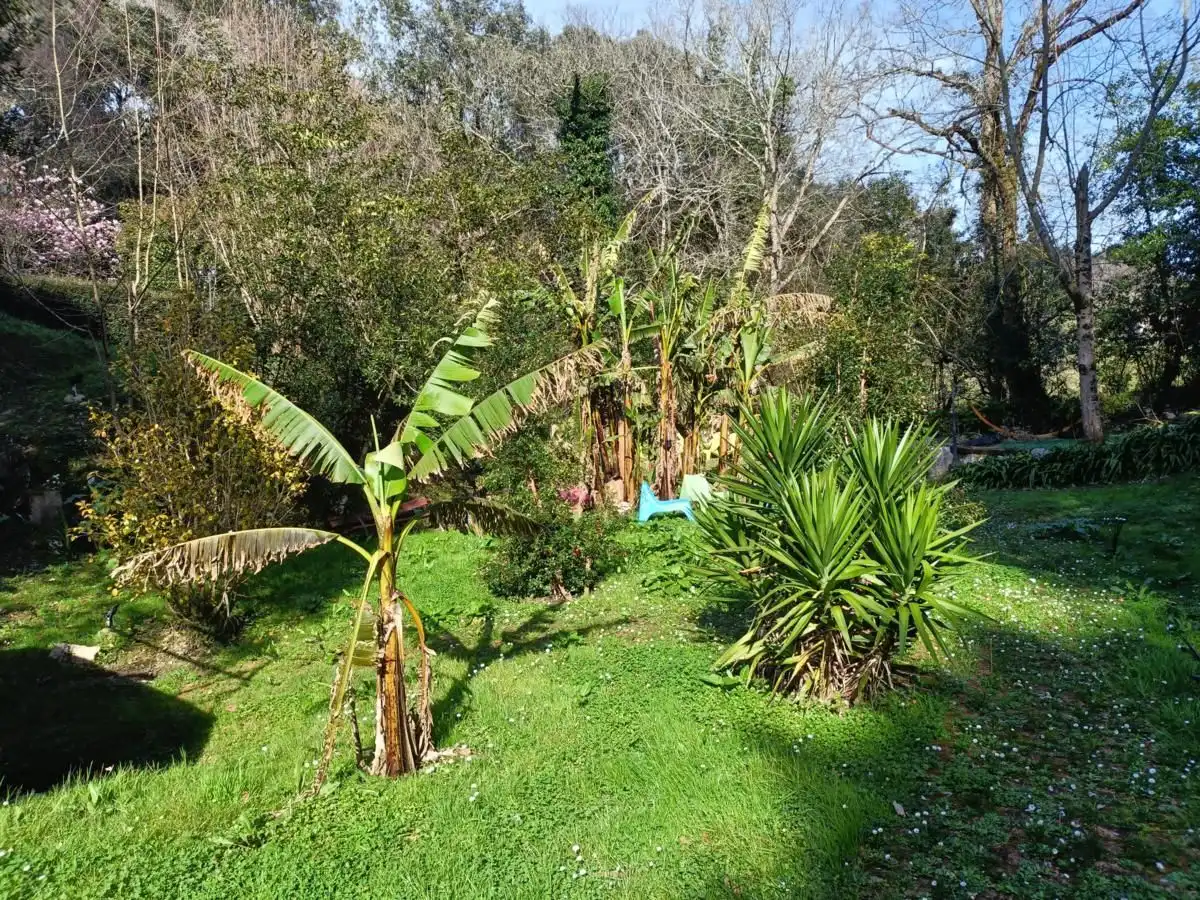 Edifici en venda a Pría - Nueva-Hontoria - Naves