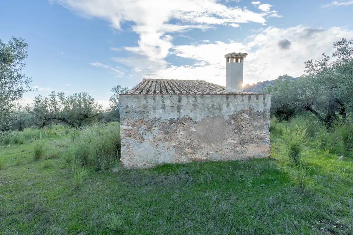 Terreno rustico in vendita a Partida Pandorga 2, imagen 3