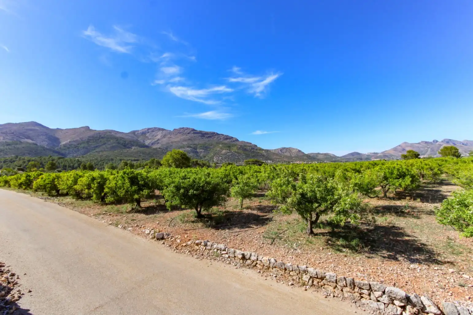 Residential land for sale in Orba, imagen 4