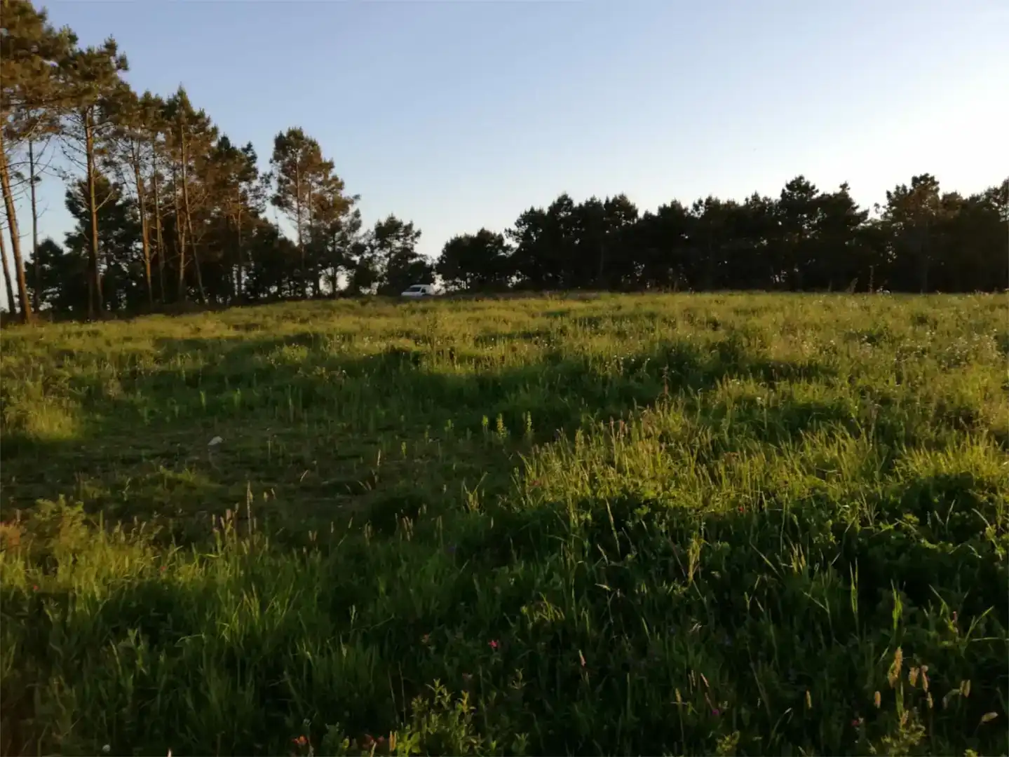 Finca rústica en venda en Tordoia