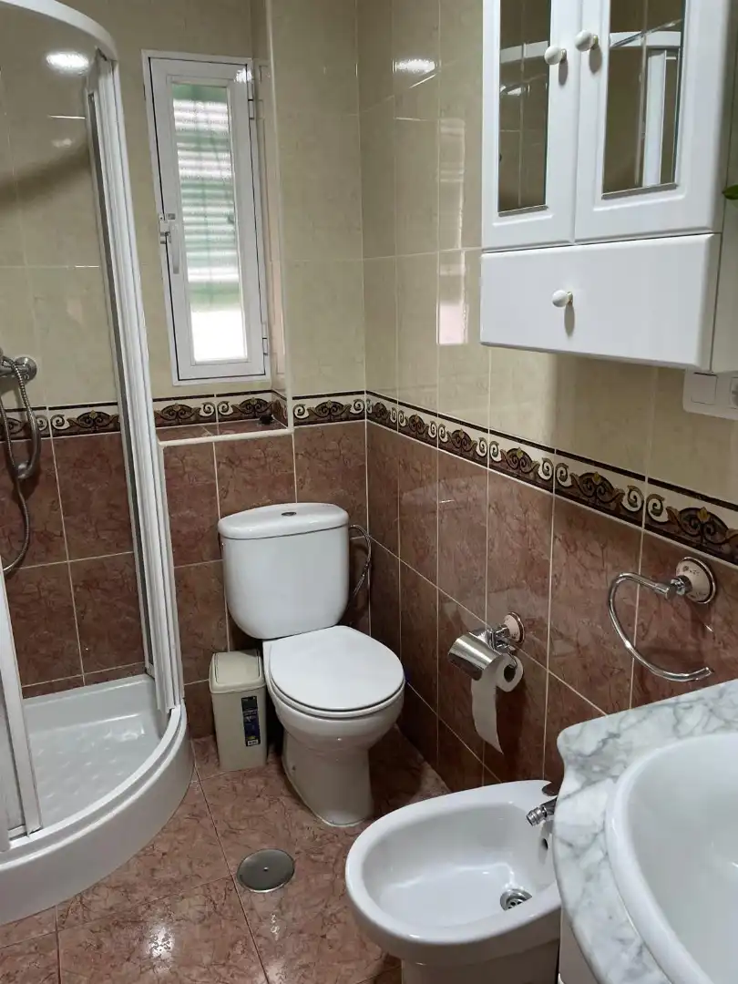 Bathroom of Flat for rent in Granada  with Furnished, Oven and Washing machine