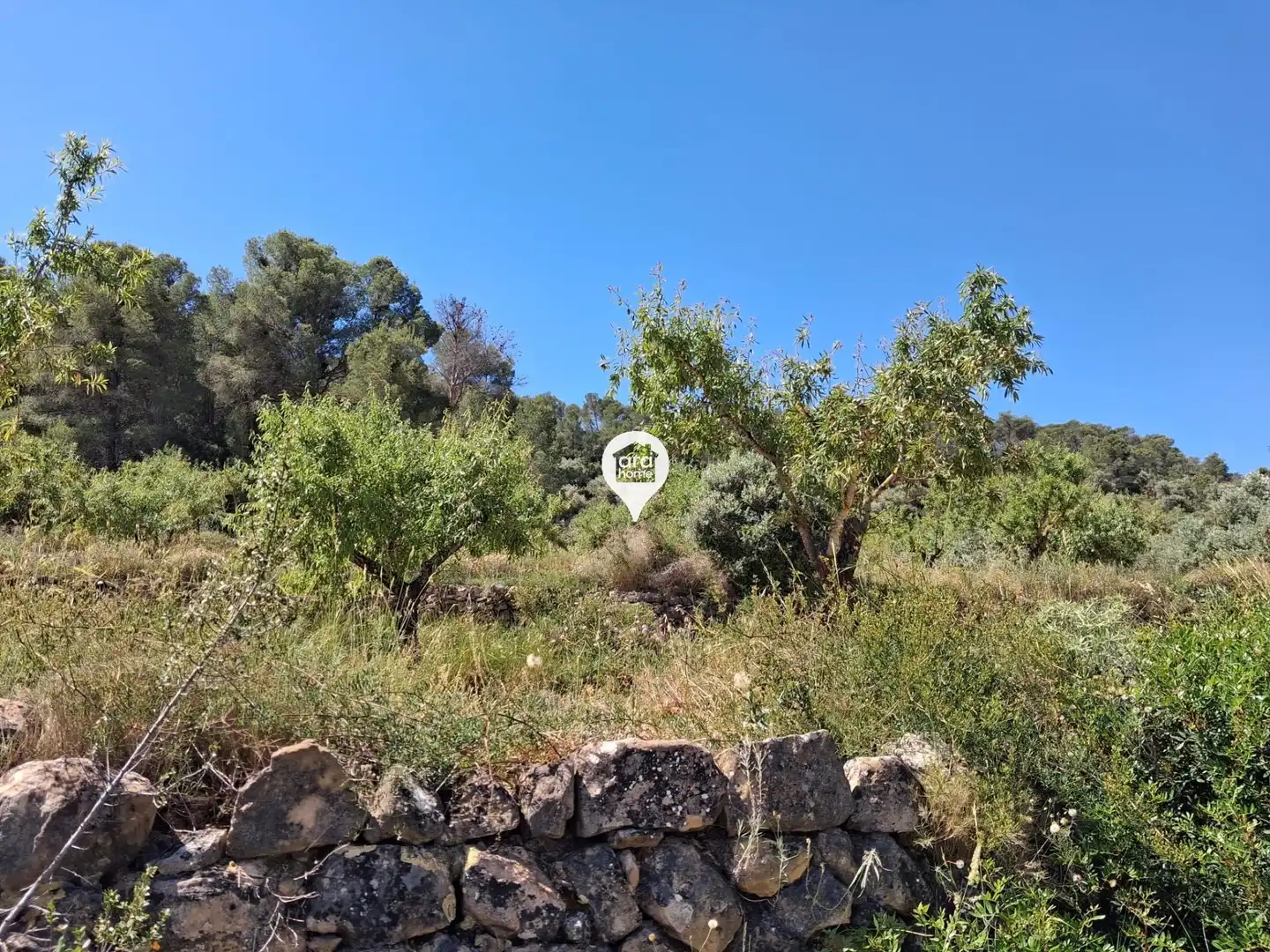 Land for sale in Madrid